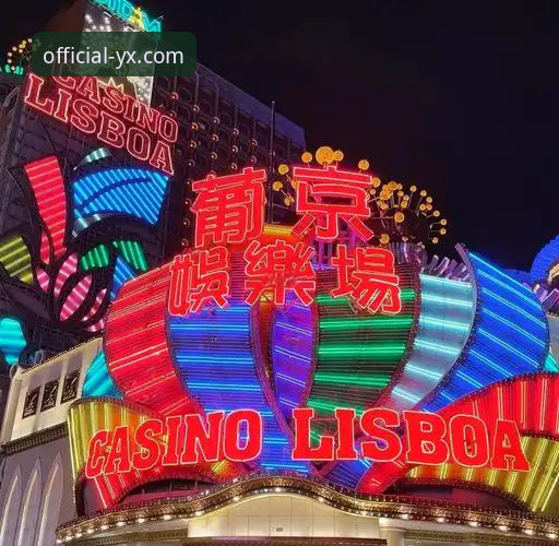 亚星娱乐城下载完整指南：多平台兼容性与安全验证要点